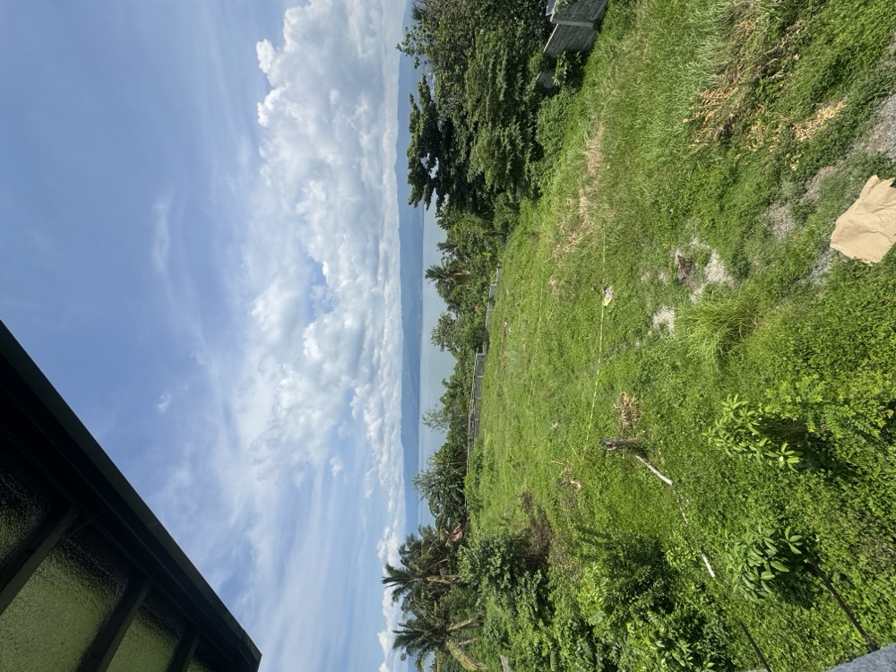 Balai Alfredo — site photograph 12.